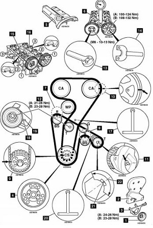 Diagrama de puesta a punto Alfa Romeo 146 2.0L 323.01