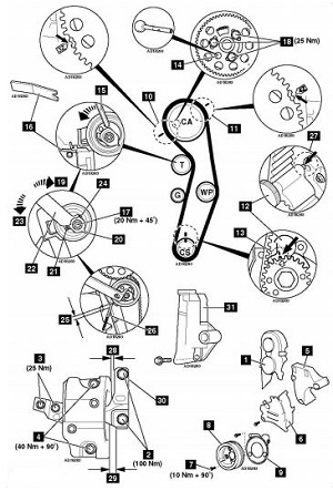Diagrama de puesta a tiempo Volkswagen Lupo 1.2D ANY Diagrama de puesta a tiempo Volkswagen Lupo 1.2D ANY