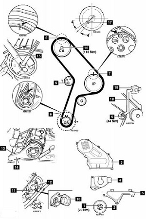 Diagrama de puesta a tiempo Fiat Punto 1.7D 176B3